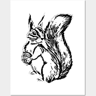 Squirrel Posters and Art